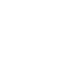 icons8 percent 100