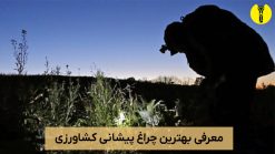 بهترین چراغ پیشانی کشاورزی