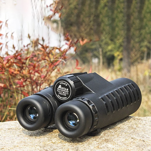 دوربین شکاری دوچشمی آسیکا (Asika) مدل 10x42 HD - Image 7